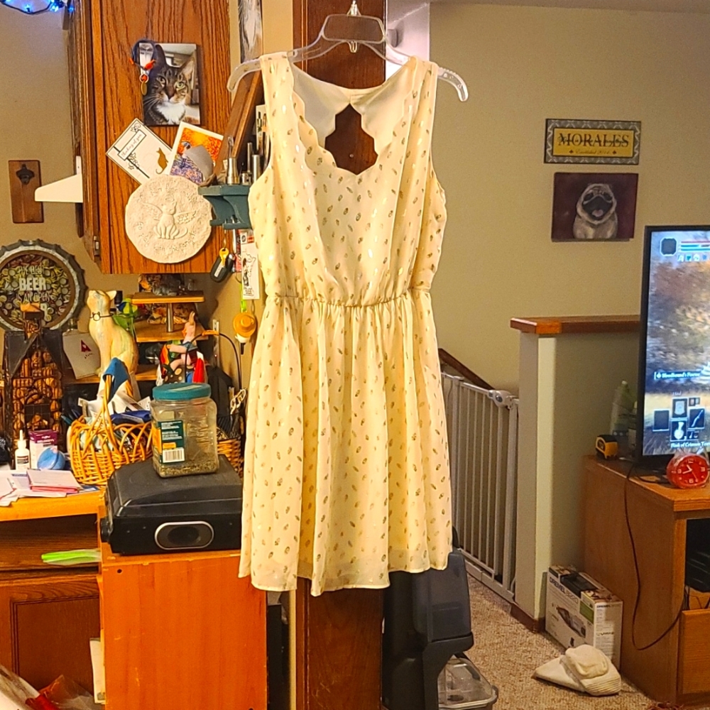 By & By womens mini dress